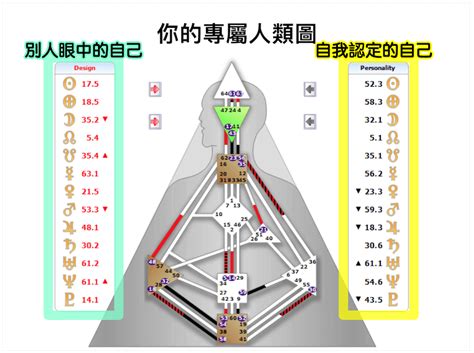 人類圖分析怎麼看